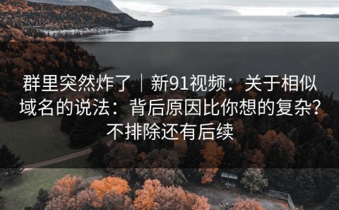 群里突然炸了｜新91视频：关于相似域名的说法：背后原因比你想的复杂？不排除还有后续